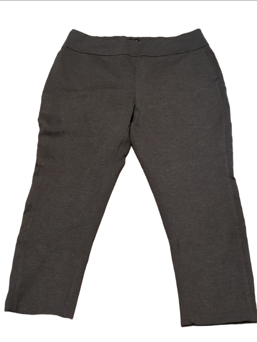 Express Gray Pull On Pants Size XL